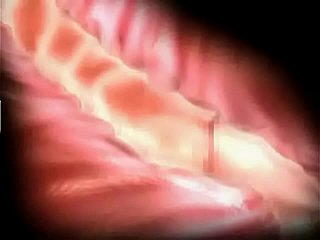 고통과 즐거움 3d 헨타이