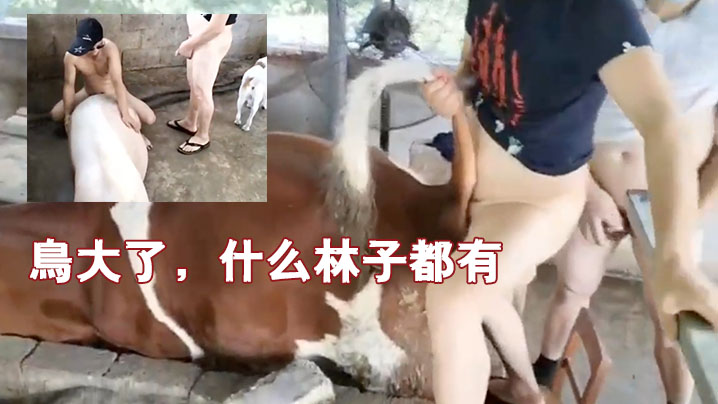 鸟大了什么林子都有.